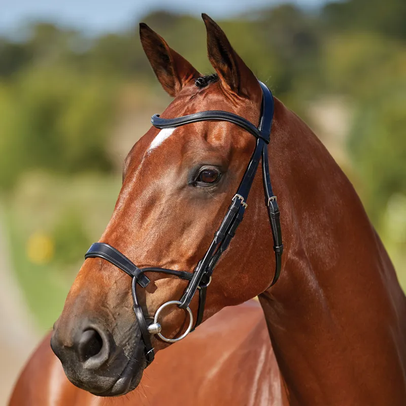 Collegiate ComFiTec Training Bridle - Black - TRIAL